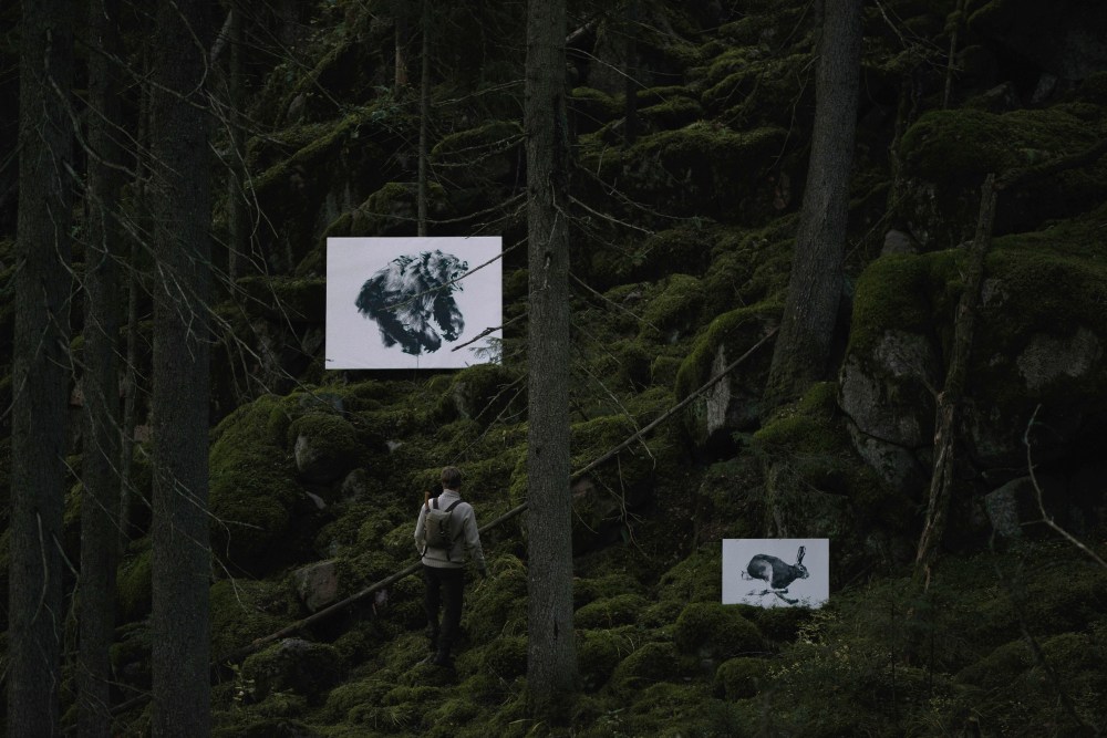 Teemu_Jarvi_Illustrations_Forest_Greetings_photoUntoRautio